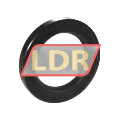 NAK Sealing Technologies SC30X45X6
