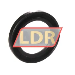 NAK Sealing Technologies SC30X45X6 rulman resim 2