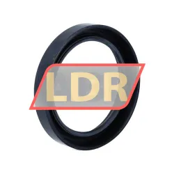 SKF CR23443 rulman resim 2