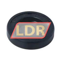 NAK Sealing Technologies SC18X35X8