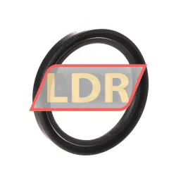 NAK Sealing Technologies SC45X57X7 rulman resim 2