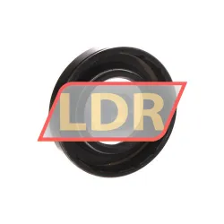 NAK Sealing Technologies SC1-125X2-125X0-375 rulman resim 2