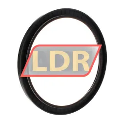 TTO Oil seals SC210X250X15 rulman resim 2