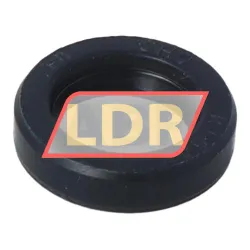 CHO Champ Oil Seals 11X17X4SC
