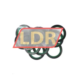 INA SD16X22X3-A rulman resim 2