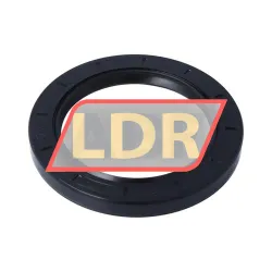 NAK Sealing Technologies TC72X100X10