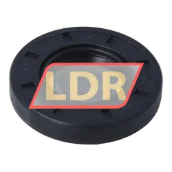 NAK Sealing Technologies TC21X40X7