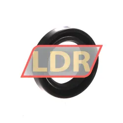 NAK Sealing Technologies TC24X38X8 rulman resim 2
