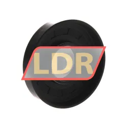 NAK Sealing Technologies TC25X65X12 rulman resim 2