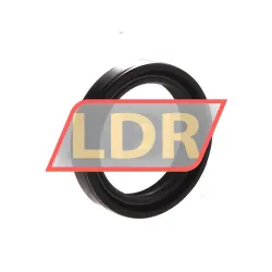 NAK Sealing Technologies TC33X44X8 rulman resim 2