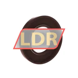 NAK Sealing Technologies TF40X72X7 rulman resim 2