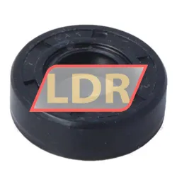NAK Sealing Technologies TC10X22X7