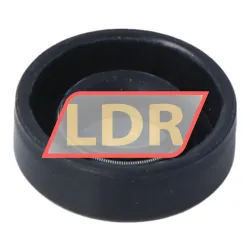 NAK Sealing Technologies TC10X22X7 rulman resim 2