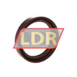 Lyon TC48X62X10 rulman resim 2