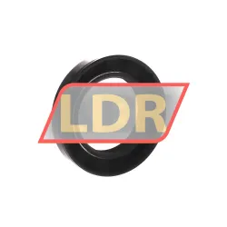 CHO Champ Oil Seals TC42X72X12 rulman resim 2