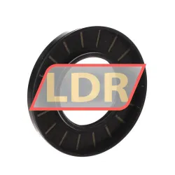 NAK Sealing Technologies TC55X100X10 rulman resim 2