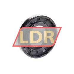 CHO Champ Oil Seals TC25X47X7 rulman resim 2