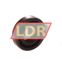Neutral TC12X25X7 rulman resim 2