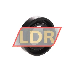 NAK Sealing Technologies TC18X32X8 rulman resim 2