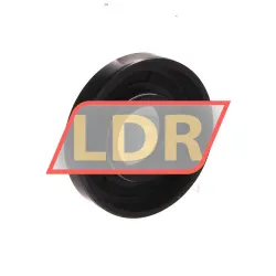 NAK Sealing Technologies TC17X40X8 rulman resim 2