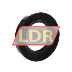CHO Champ Oil Seals TC2-250X3-750X0-500 rulman resim 2