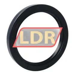 CHO Champ Oil Seals TC78X100X10