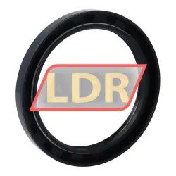CHO Champ Oil Seals TC78X100X10 rulman resim 2