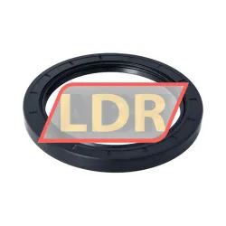 TTO Oil seals TC100X130X12