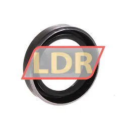 SKF 13027-B rulman resim 2
