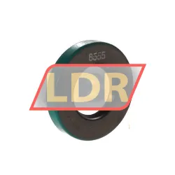 SKF CR22X42X7CRW1R