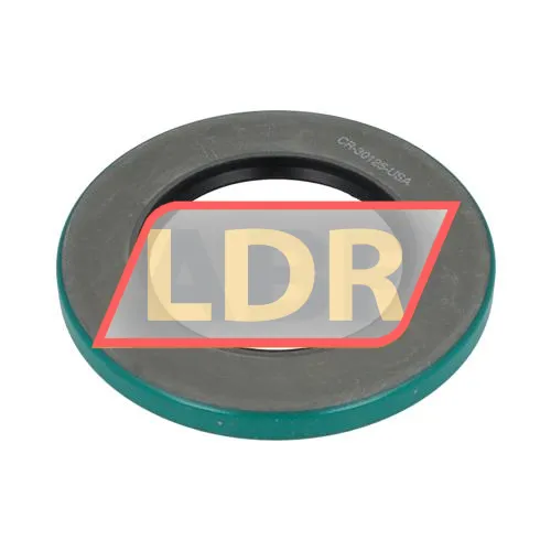SKF CR30125