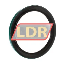 SKF 60016 rulman resim 2