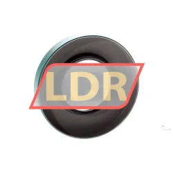 SKF CR38X74X11CRWA1R rulman resim 2