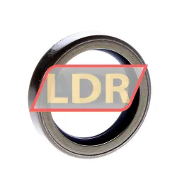 SKF CR40X55X12CRSH12R rulman resim 2