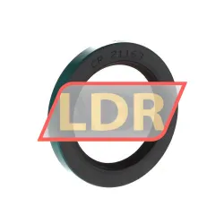 SKF CR21163
