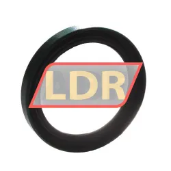 SKF 17231 rulman resim 2