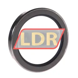 SKF 84X110X12CRSH11R rulman resim 2
