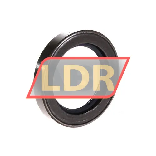 SKF CR40X60X10CRSH13R ürün fotoğrafı 2