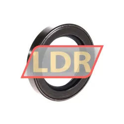 SKF CR40X60X10CRSH13R rulman resim 2