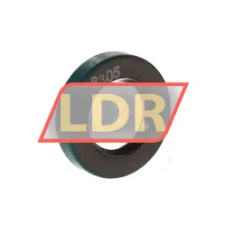 SKF CR21X35X7CRW1R
