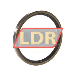 CHO Champ Oil Seals 85X100X9SB
