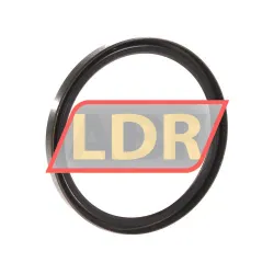 CHO Champ Oil Seals 85X100X9SB rulman resim 2