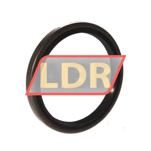 Chicago Rawhide Ltd CR70X85X8CRSA12R