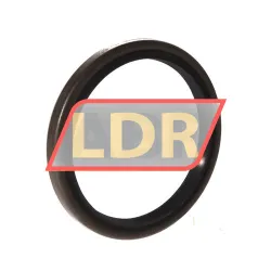 Chicago Rawhide Ltd CR70X85X8CRSA12R