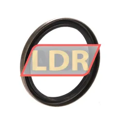 Chicago Rawhide Ltd CR70X85X8CRSA12R rulman resim 2