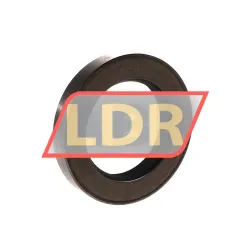 Lyon TA55X85X13 rulman resim 2