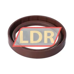NAK Sealing Technologies SC60X80X13-VITON rulman resim 2