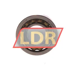 SKF E19