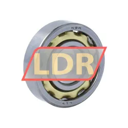 NSK L17 rulman resim 2