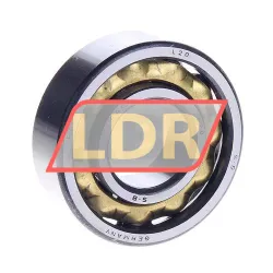 FAG L20